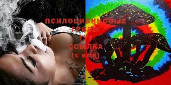 Альфа ПВП Арсеньев